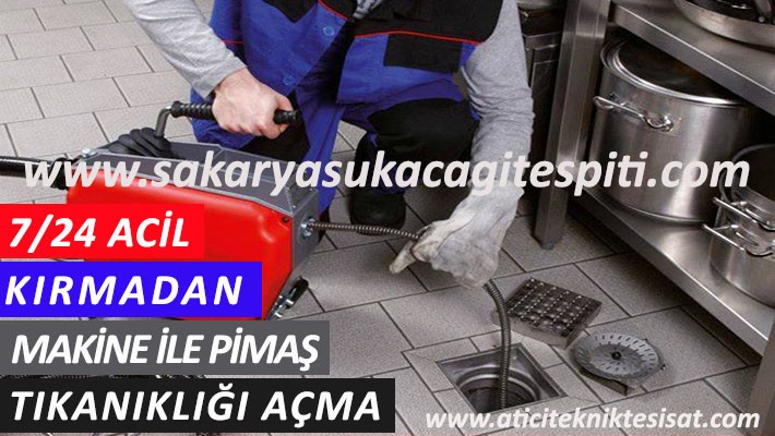 Pimaş Tıkanıklığı Açma Firmaları